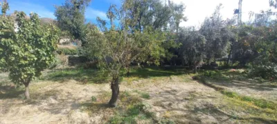 Rustic Finca in Narila photo 31