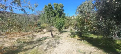 Rustic Finca in Narila photo 34