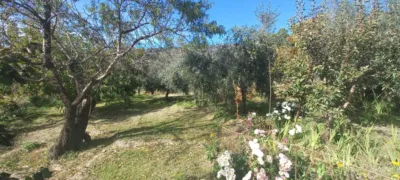 Rustic Finca in Narila photo 35