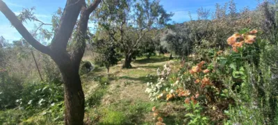 Rustic Finca in Narila photo 36