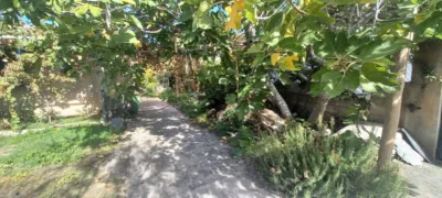 Rustic Finca in Narila photo 39