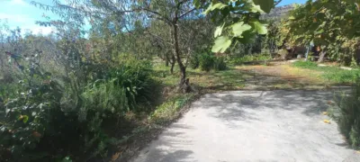 Rustic Finca in Narila photo 40