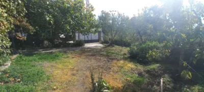 Rustic Finca in Narila photo 41
