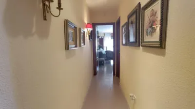Apartment in El Ejido Town Centre photo 5