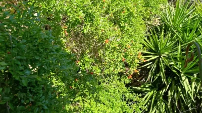 House in Costa de Almeria photo 18