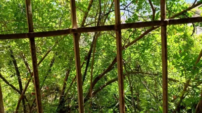 House in Costa de Almeria photo 22