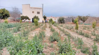 Rustic finca in Ugíjar photo 2