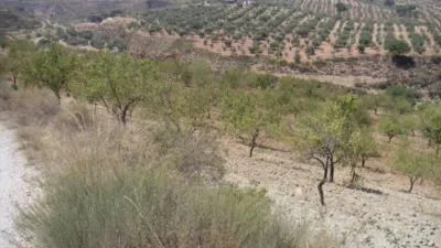 Finca rústica en Ugíjar photo 30