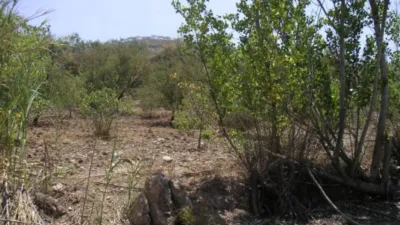 Finca rústica en Ugíjar photo 32