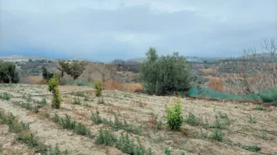 Finca rústica en Ugíjar photo 34