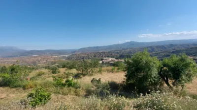 Rustic Finca in Centro photo 10