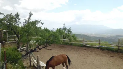 Rustic Finca in Centro photo 5