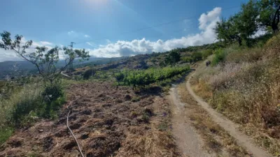 Rustic Finca in Centro photo 7