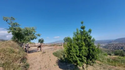 Rustic Finca in Centro photo 9