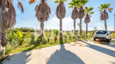 Finca rústica en venta en Sueca, Sueca de 545.000 €