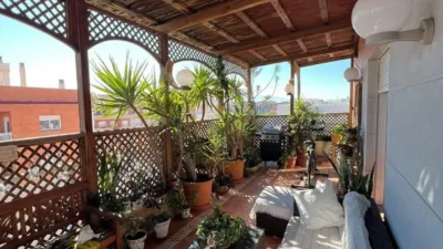 Penthouse in Juan Carlos I photo 3