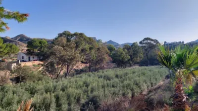 Casa en venta en Garres y Lages, Garres y Lages (Distrito Pedanías Este. Murcia Capital) de 399.000 €