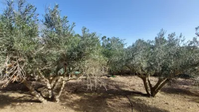 Casa en venta en Garres y Lages, Garres y Lages (Distrito Pedanías Este. Murcia Capital) de 399.000 €