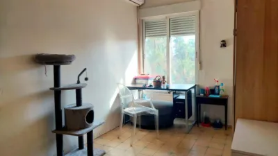 Apartment in Barrio del Carmen photo 9