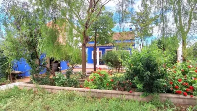 House in Sangonera La Seca photo 38
