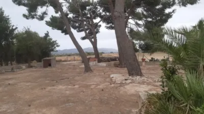 Casa – Sax, María Moliner, l'Alt Vinalopó / El Alto Vinalopó - Más