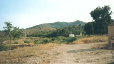 Rustic Finca in Collado de Novelda photo 10