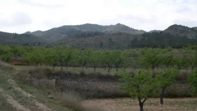 Rustic Finca in Collado de Novelda photo 9