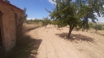 Terreno en venta en Pedrera - Vista 2
