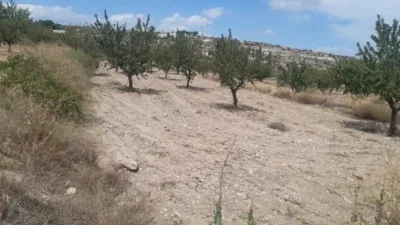 Terreno en venta en Pedrera - Més