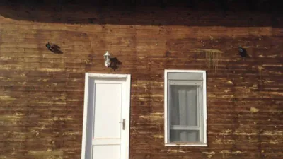 House in Paredon photo 22
