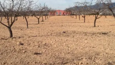 House in Paredon photo 3