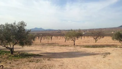 House in Paredon photo 4