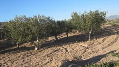 Terreno en venta en La Pedrera - Vista 2