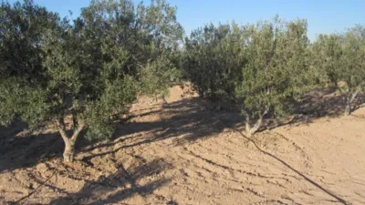 Terreno en venta en La Pedrera - Vista 3
