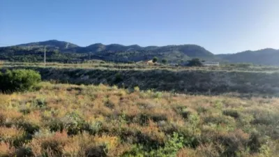 Terreno en venta en La Alquebla - View 4