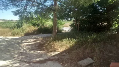 House in La Algueña photo 9