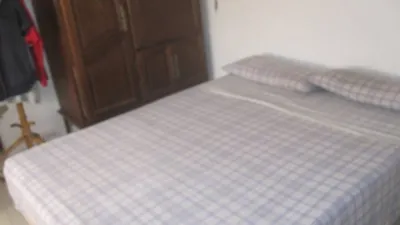 Chalet in Novelda Rural photo 11
