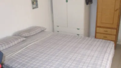 Chalet in Novelda Rural photo 12
