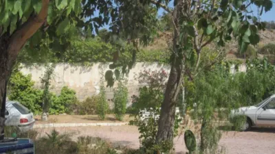 Chalet in Novelda Rural photo 3
