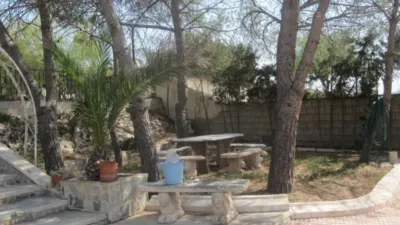 Chalet in Novelda Rural photo 7