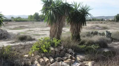 Casa – Novelda - Vista 3