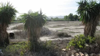 Casa – Novelda - Més
