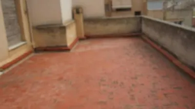 House in the Center photo 25