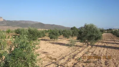 Terreno en venta en Madara - Vista 4