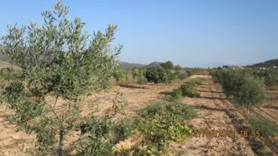 Terreno en venta en Madara - Vista 5