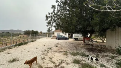Chalet in Comunidad Valenciana photo 14