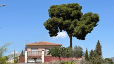 Rustic Finca in Cuartel photo 11