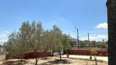 Rustic Finca in Cuartel photo 18