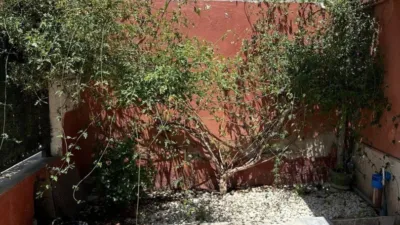 Rustic Finca in Cuartel photo 9