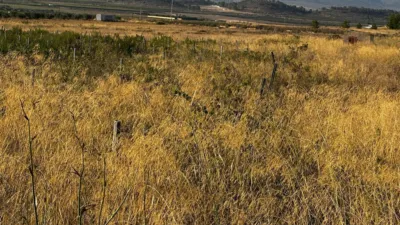 Terreno en venta en 03650 - Vista 3